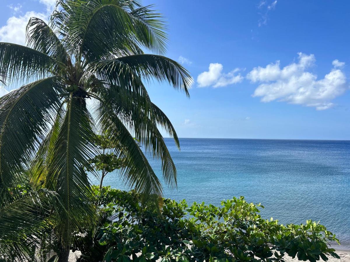 La Plage Martinique Schoelcher Exterior photo